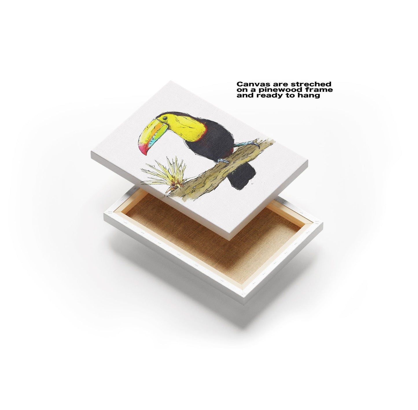 Watercolour and Pen Toucan Art - Sharpstrokez