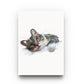 Personalised  Gouache Pet Portrait - Head - Sharpstrokez