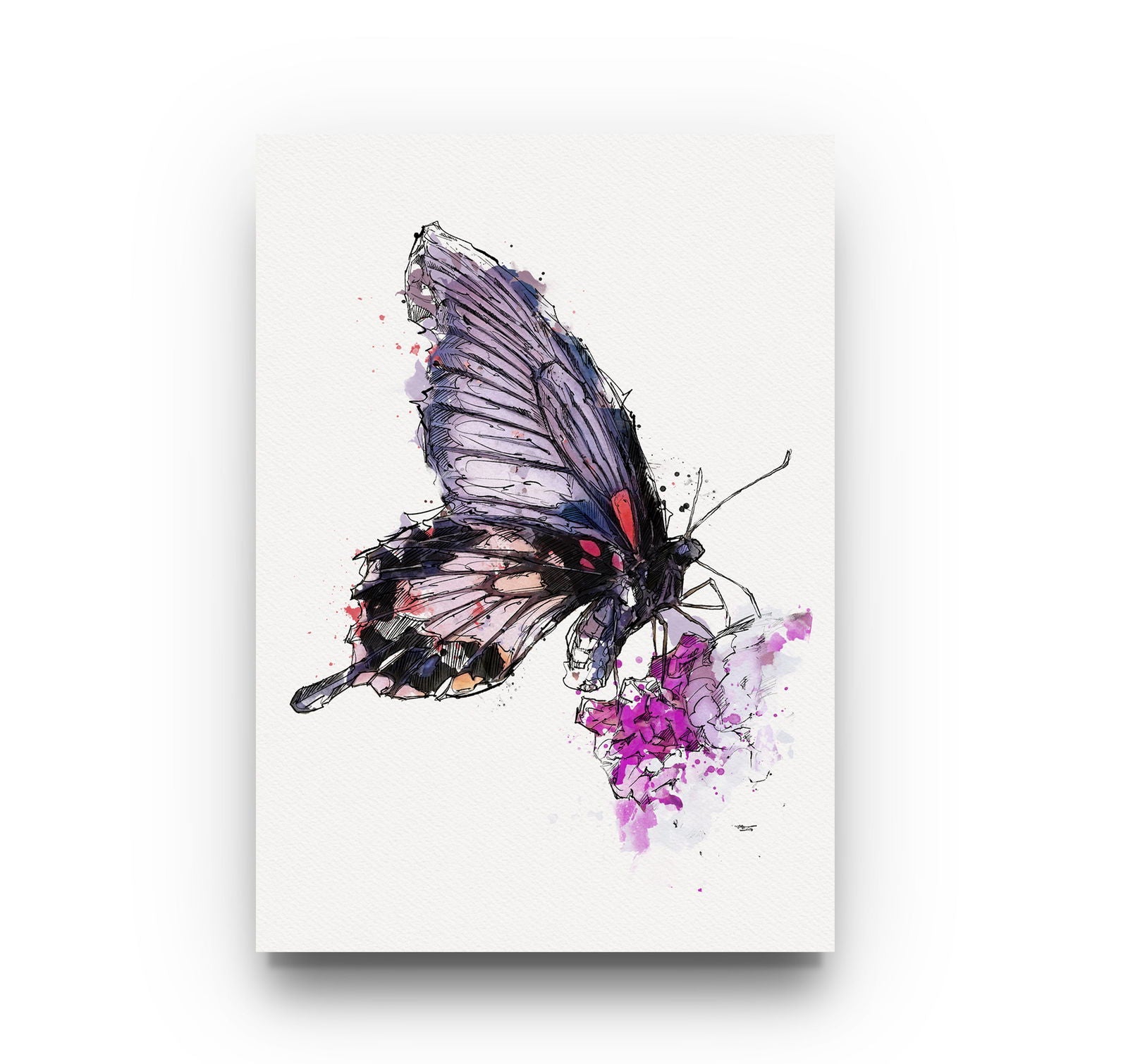 Watercolour and Pen Animal Art Butterfly - Sharpstrokez