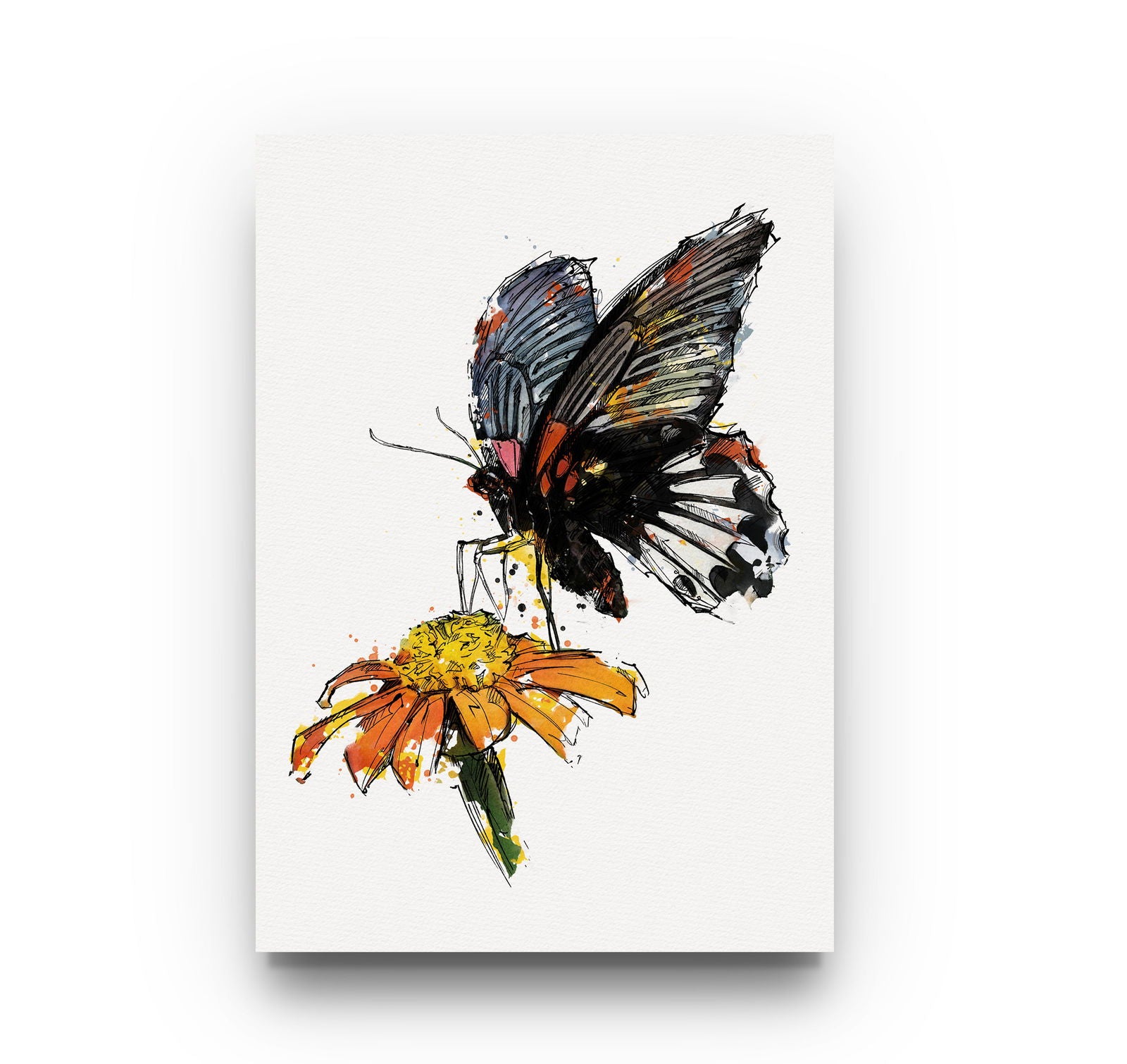 Watercolour and Pen Animal Art Butterfly - Sharpstrokez