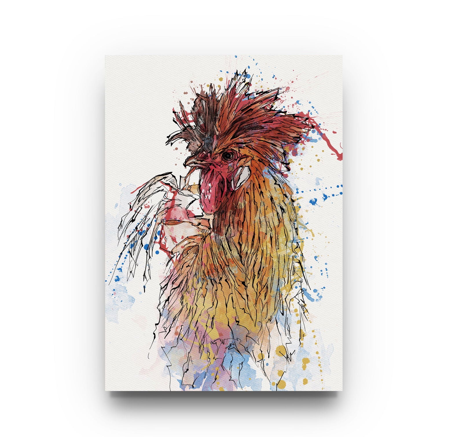 Watercolour and Pen Animal Art Cock - Sharpstrokez