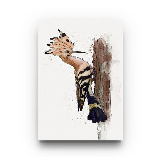 Watercolour and Pen Hoopoe Art - Sharpstrokez