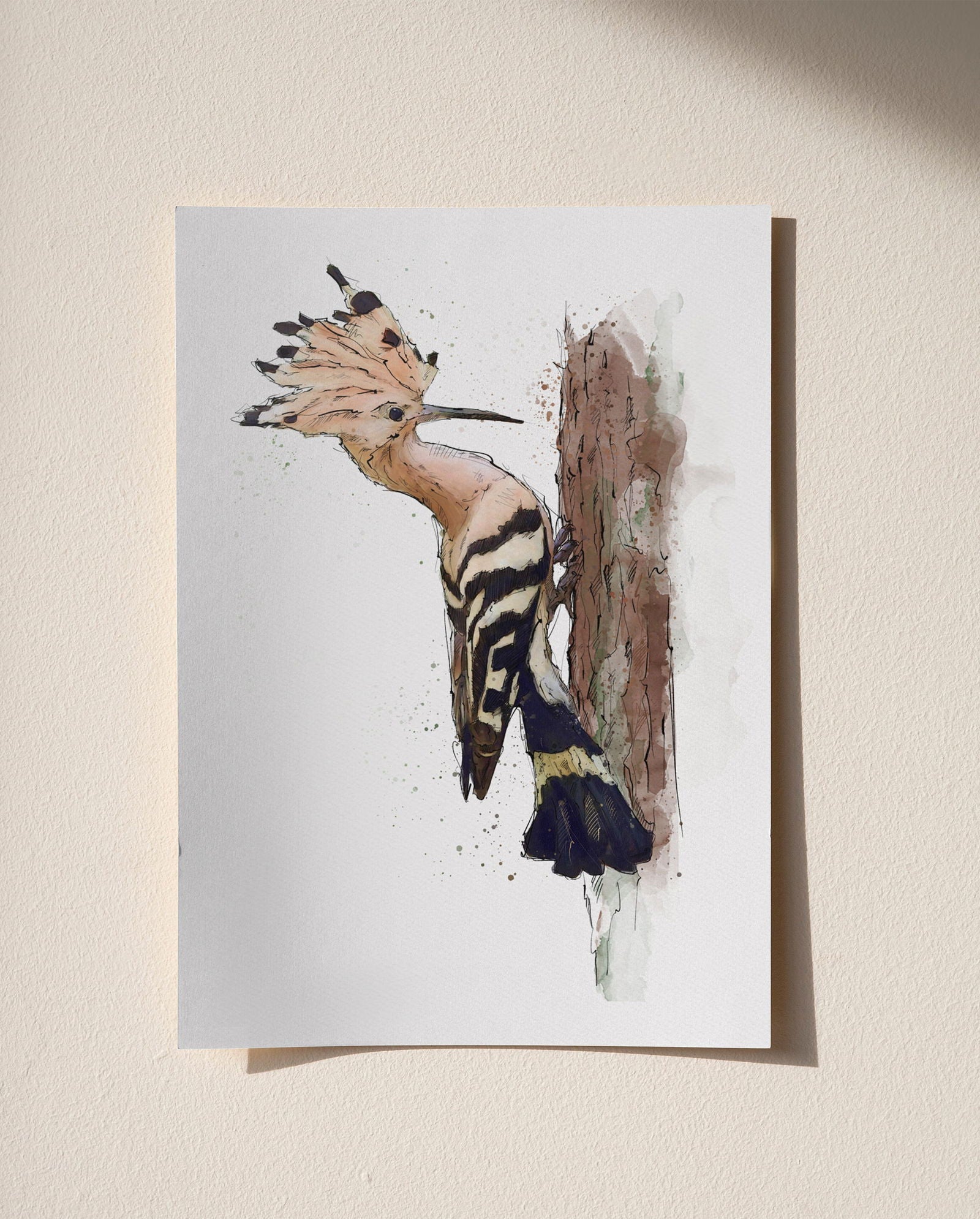 Watercolour and Pen Hoopoe Art - Sharpstrokez