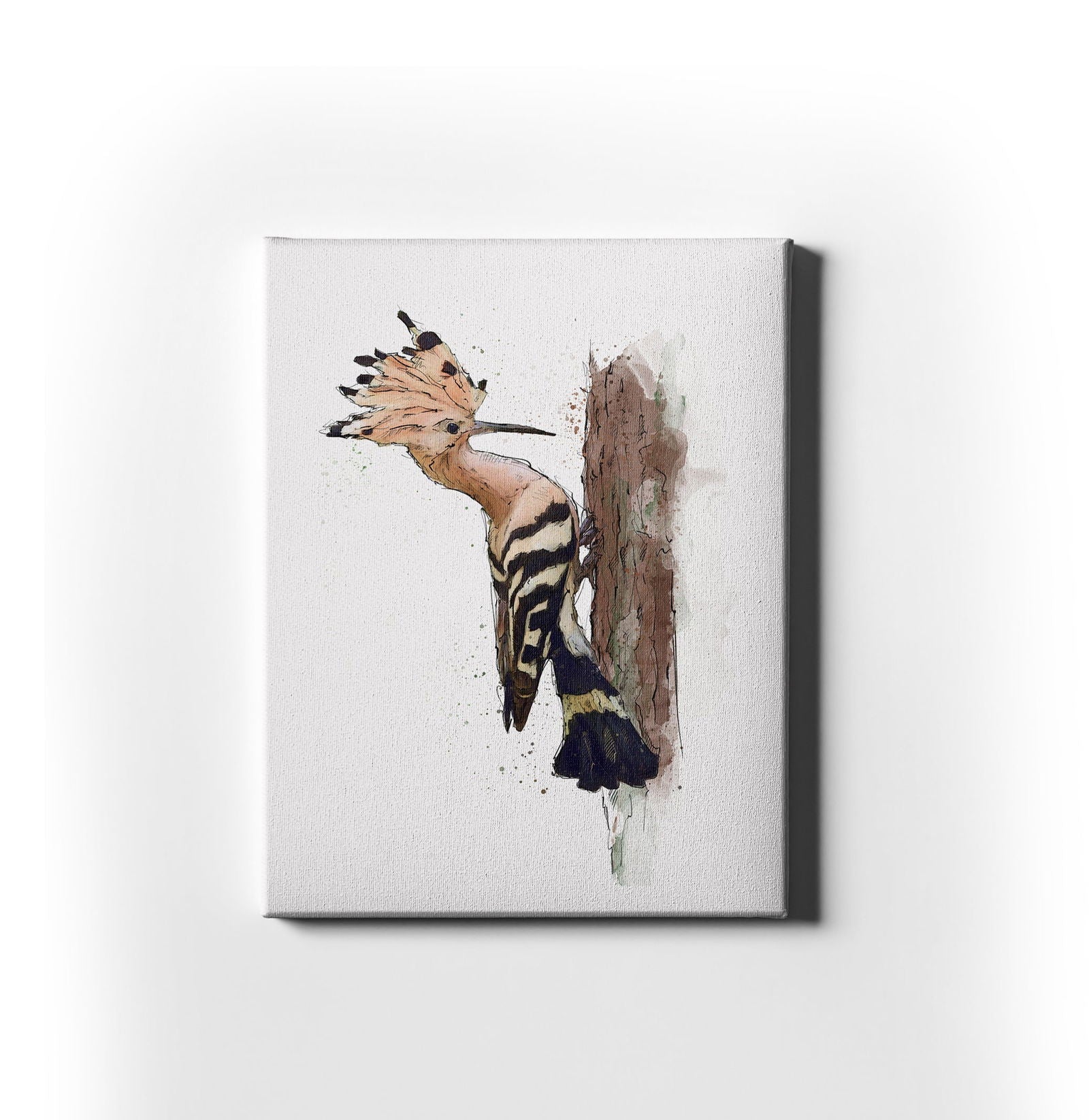 Watercolour and Pen Hoopoe Art - Sharpstrokez