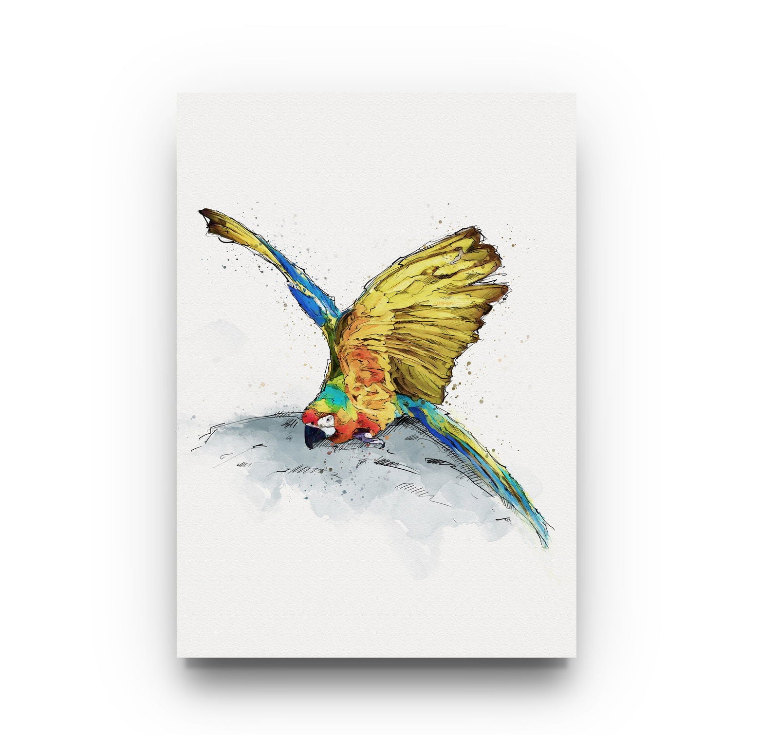 Watercolour and Pen Macaw Art - Sharpstrokez