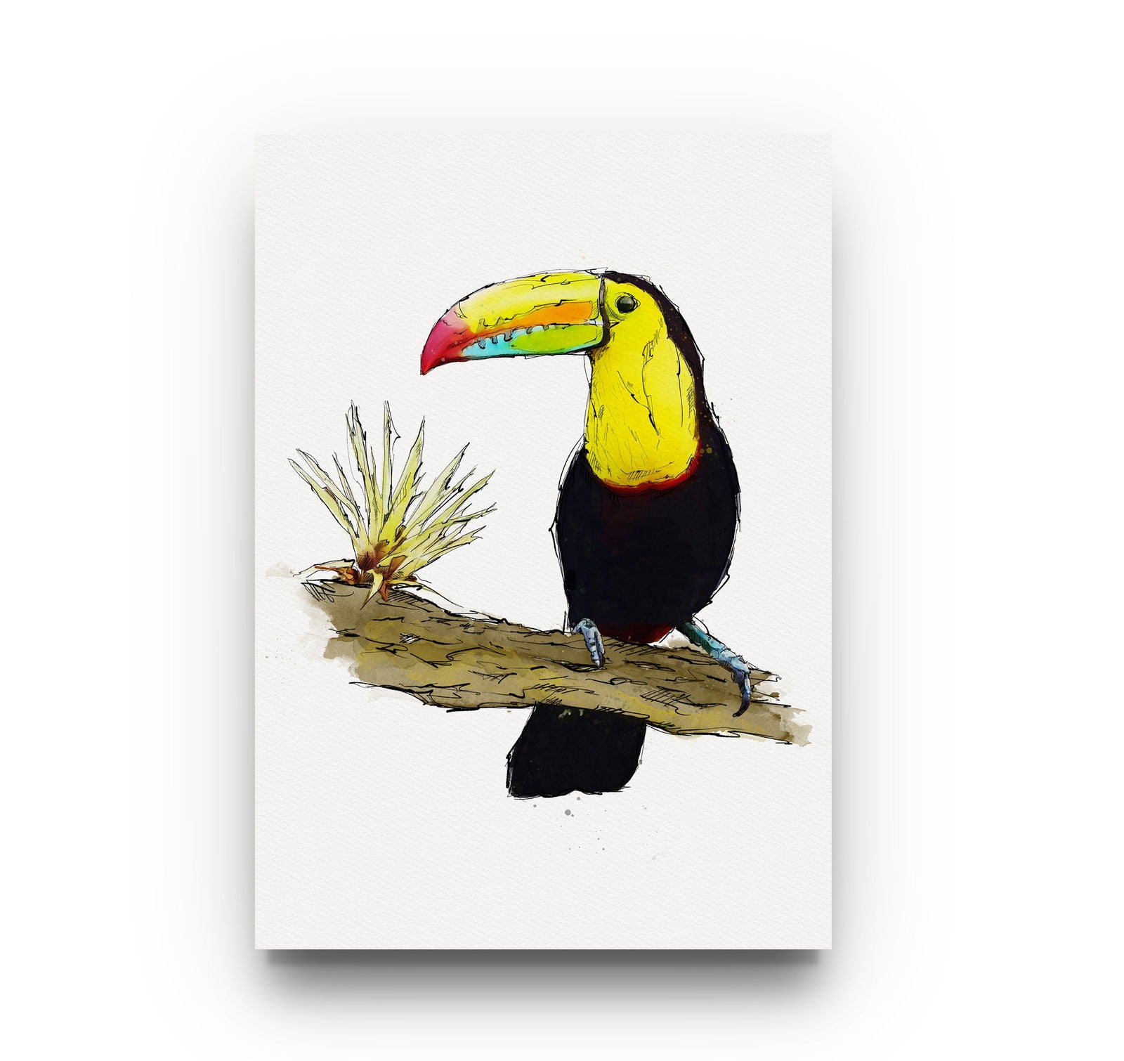 Watercolour and Pen Toucan Art - Sharpstrokez