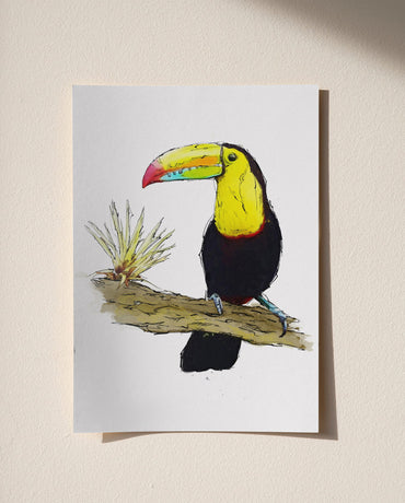 Watercolour and Pen Toucan Art - Sharpstrokez