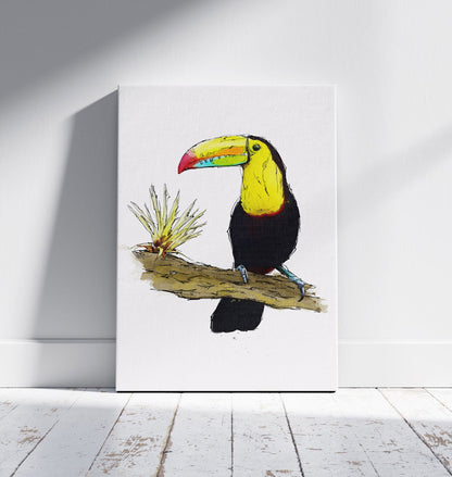 Watercolour and Pen Toucan Art - Sharpstrokez
