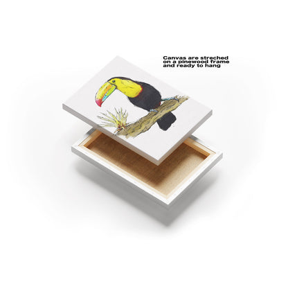Watercolour and Pen Toucan Art - Sharpstrokez
